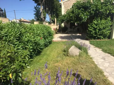 a garden with purple flowers and a path at Auberge Les Olivades in Mallemort