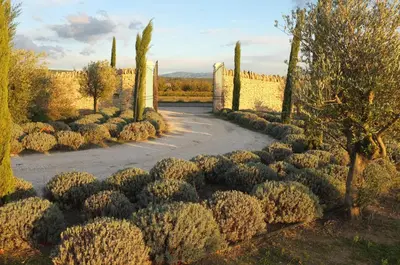 a garden with bushes and trees and a road at Clos De La Fontaine in Cabrières-dʼAvignon