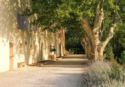 a row of trees on a sidewalk next to a building at Les Carmes and spa in Le Thor