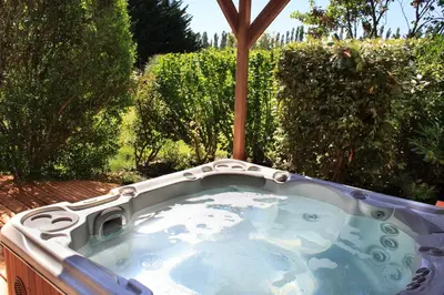 a hot tub in a backyard with trees and bushes at Les Carmes and spa in Le Thor