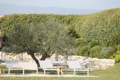 a group of chairs and a table under a tree at Le Mas Les Eydins in Bonnieux