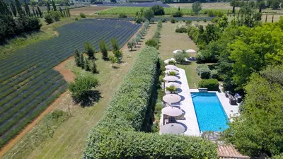 an aerial view of a vineyard with a swimming pool at Le Mas Les Eydins in Bonnieux