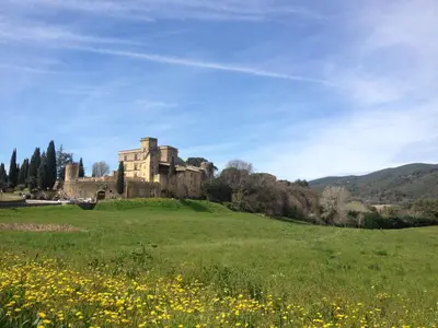 an old castle on a green field with flowers at Appartement L'Atypique in Pertuis
