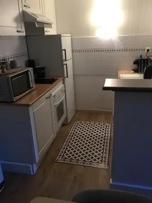 a kitchen with a refrigerator and a kitchen rug at Les Jardins de Mistral Apartment in Aix-en-Provence
