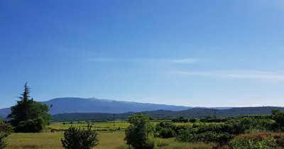 a field with trees and mountains in the background at Mas Nina Rosa in Mazan
