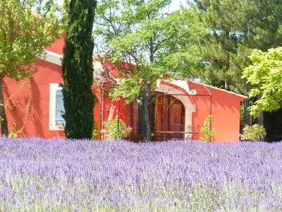 a field of purple flowers in front of a house at Luberon & Lavandes in Roussillon