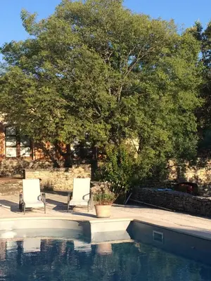 two chairs and a tree next to a swimming pool at Le Verger in Gordes