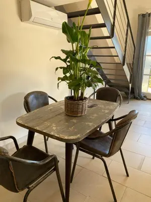 a table with chairs and a potted plant on it at Mas Serena in Ménerbes