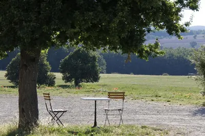 a table and two chairs sitting under a tree at Château de la Gabelle Férrassières in Ferrassières