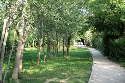 a path through a park with trees and grass at Colombe in LʼIsle-sur-la-Sorgue