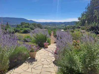 a garden with purple flowers and a stone pathway at Les Cerises in Saint-Saturnin-les-Apt