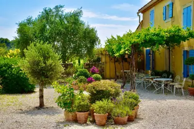 a garden with potted plants in front of a building at Bastide Saint-Didier in Saint-Didier