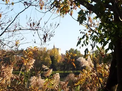 a view of a park with trees in the background at Gîte en Provence in Entraigues-sur-la-Sorgue