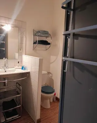 a bathroom with a toilet and a sink and a mirror at Gîte en Provence in Entraigues-sur-la-Sorgue