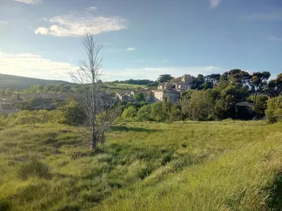 a small tree in the middle of a field at Les chambres d'Adeline - B&B in Murs