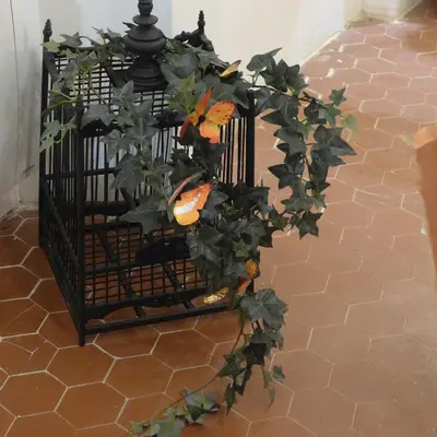 a bird cage with a plant in it at Maison d'hôtes Une hirondelle en Provence in Roussillon