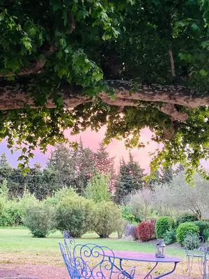 a park with a bench and trees and bushes at Le Nid de la Huppe in Noves