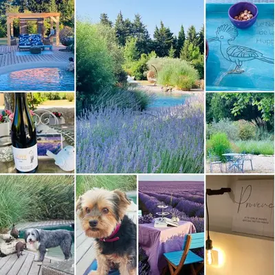 a collage of photos with a dog and flowers at Le Nid de la Huppe in Noves