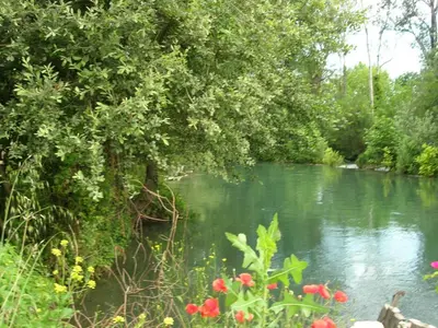 a river with trees and red flowers in the foreground at maison près de l'eau in LʼIsle-sur-la-Sorgue