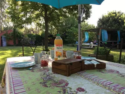 a picnic table with a bottle of orange juice on it at Le Mas des Platanes in Entraigues-sur-la-Sorgue