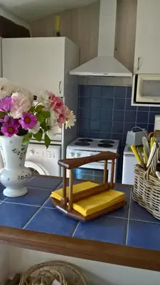 a kitchen with a table and a vase of flowers at Les grands pins in Saint-Andiol