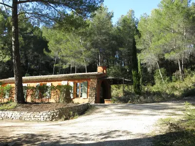 a house in the woods with a driveway at La Petite Yolande in Aix-en-Provence
