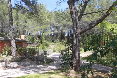 a path in the woods next to a house at La Petite Yolande in Aix-en-Provence