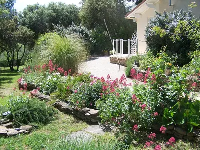 a garden with pink flowers and a pathway at Les Florides in LʼIsle-sur-la-Sorgue