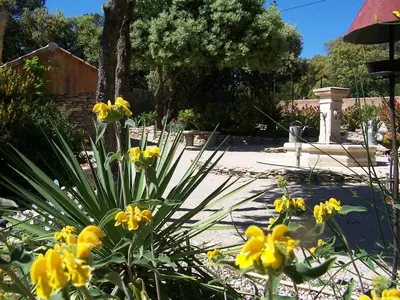 a bunch of yellow flowers in a garden at Les Florides in LʼIsle-sur-la-Sorgue