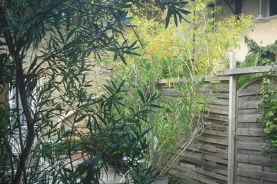 a wooden bench sitting next to a wall with plants at Lou mas li Pitchoun 