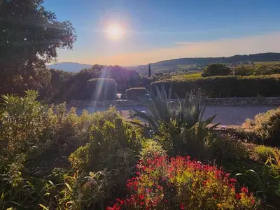a view of a river with a waterfall and flowers at Sunny Provence Getaway in Villes-sur-Auzon