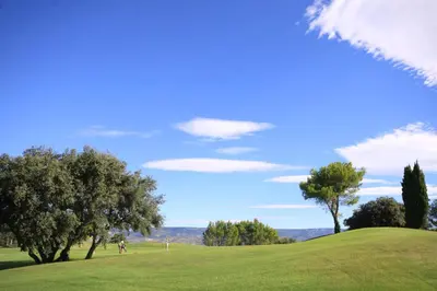 a green hill with trees and a blue sky at Villa Briali Pont Royal in Mallemort