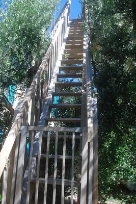a stairway leading up to a fence with trees at Les Volets Bleus Provence in Salon-de-Provence