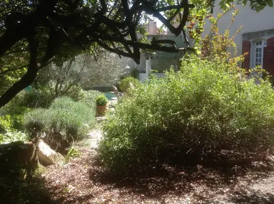 a garden with green bushes and a building at Le petit Figuier in La Roque-dʼAnthéron
