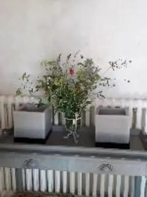 three potted plants sitting on top of a table at L'Hymette in Blauvac