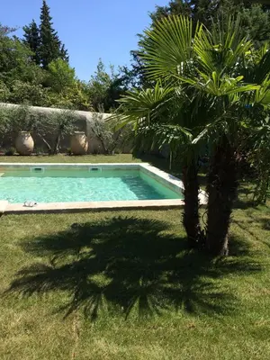 a swimming pool in a yard with a palm tree at La Calade in Lourmarin