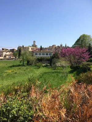 a field with a house in the background at La Calade in Lourmarin