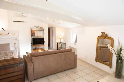a living room with a couch and a mirror at Appartement spacieux Rochereau in LʼIsle-sur-la-Sorgue