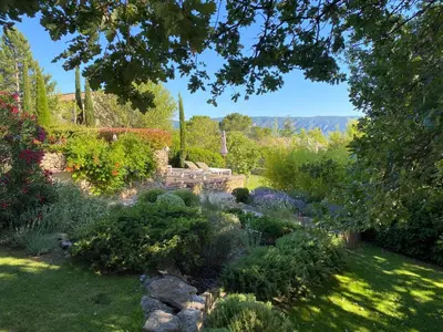 a garden with a bench in the middle at Villa Cabrida in Cabrières-dʼAvignon