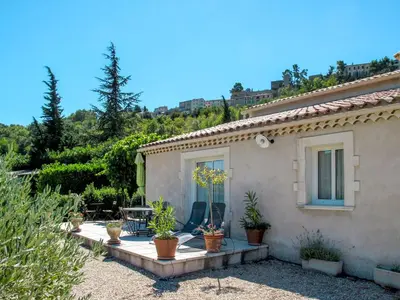 a house with potted plants in front of it at Holiday Home Les Vignes by Interhome in Ménerbes