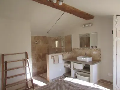 a bathroom with a sink and a toilet and a shower at le bastidon in Villars