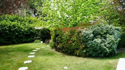 a garden with a hedge and a path in the grass at La belle histoire Gîte Montmirail in Bédoin