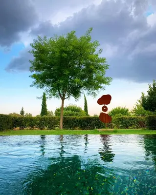 a tree and an umbrella sitting next to a lake at Le Pavillon de Galon in Cucuron