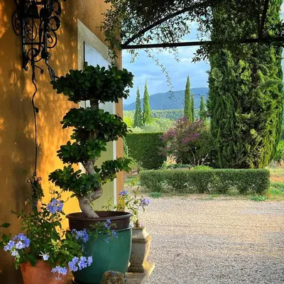 a view of a garden with potted plants and a window at Le Pavillon de Galon in Cucuron