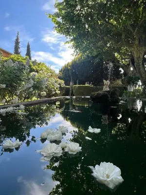 a pond with white flowers in a garden at Le Pavillon de Galon in Cucuron
