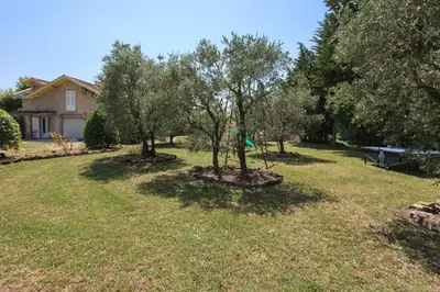 a tree in the middle of a yard with a house at Mas Michel et Josiane in Monteux