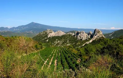 a vineyard on a hill with mountains in the background at Mas Michel et Josiane in Monteux