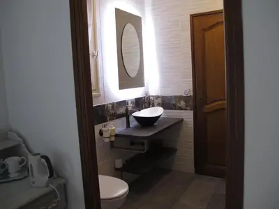 a bathroom with a sink and a toilet and a mirror at L'Oustau de Bigatié in Lambesc