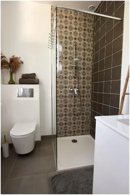a bathroom with a shower with a toilet and a sink at 1001 Ocres in Apt