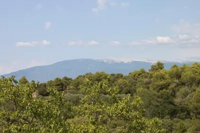 a view of a forest with mountains in the background at Mas de la Gonnette in Venasque